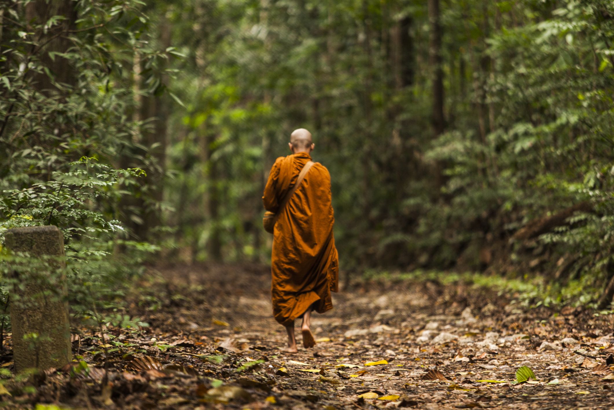 A Monk and woodcutter story